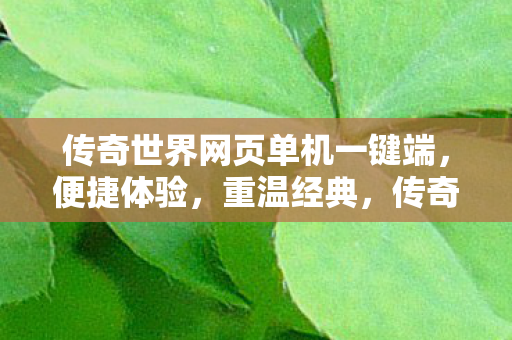 传奇世界网页单机一键端图片
