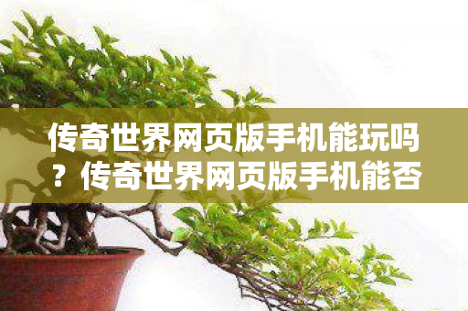 传奇世界网页版手机能否畅玩图片