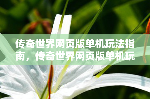 传奇世界网页版单机玩法全解析图片