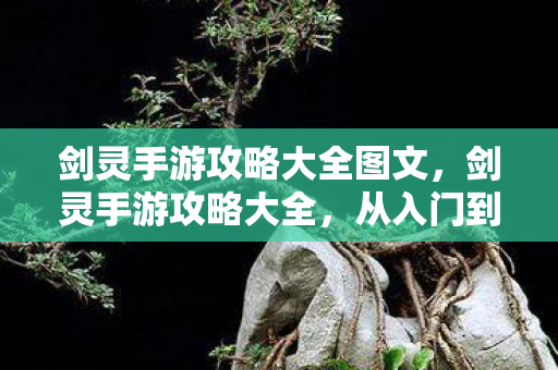 剑灵手游攻略大全图文,剑灵手游攻略大全,从入门到精通的图文指南 剑灵手游攻略大全图文,剑灵手游攻略大全,从入门到精通的图文指南