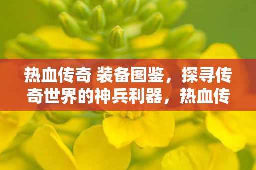 探寻传奇世界的神兵利器装备图鉴图片