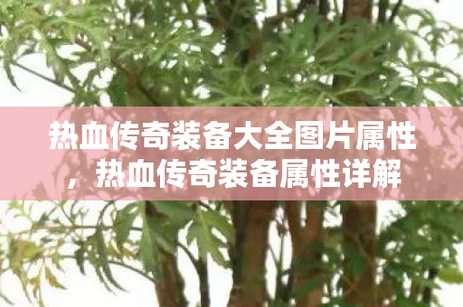 热血传奇装备大全图片属性,热血传奇装备属性详解 热血传奇装备大全图片属性,热血传奇装备属性详解