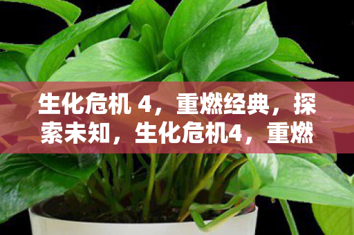 生化危机 4图片