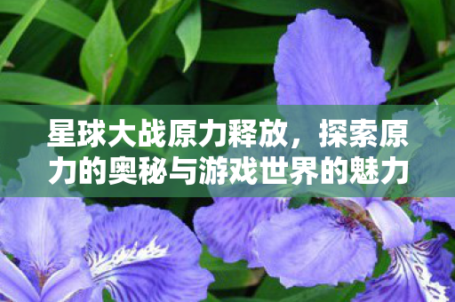 星球大战原力释放,探索原力的奥秘与游戏世界的魅力,探索星球大战原力的奥秘,释放游戏世界的魅力 星球大战原力释放,探索原力的奥秘与游戏世界的魅力,探索星球大战原力的奥秘,释放游戏世界的魅力