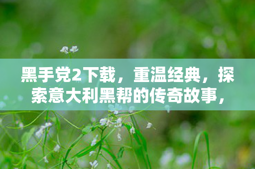 黑手党2下载,重温经典,探索意大利黑帮的传奇故事,黑手党2下载,重温经典,探索意大利黑帮传奇故事 黑手党2下载,重温经典,探索意大利黑帮的传奇故事,黑手党2下载,重温经典,探索意大利黑帮传奇故事