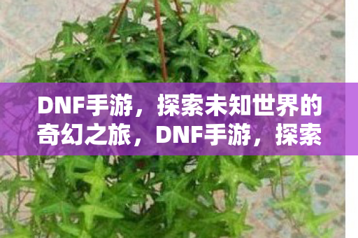 探索未知世界的奇幻冒险之旅图片