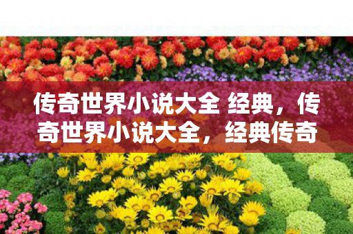 传奇世界小说大全 经典图片