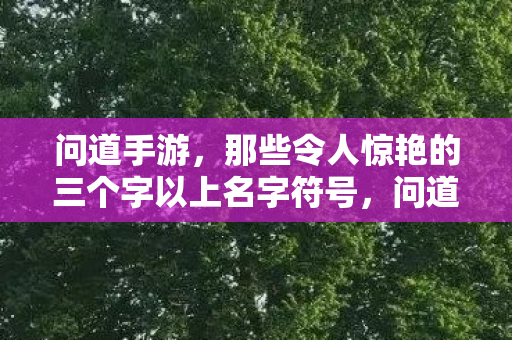 那些令人惊艳的三个字以上名字符号图片