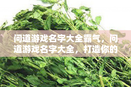 问道游戏名字大全霸气图片