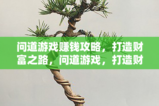 打造财富之路的赚钱攻略图片