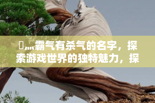 探索游戏世界的独特魅力图片
