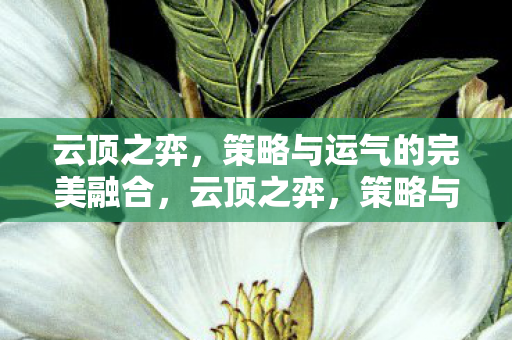 云顶之弈,策略与运气的完美融合,云顶之弈,策略与运气的完美碰撞 云顶之弈,策略与运气的完美融合,云顶之弈,策略与运气的完美碰撞