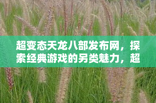 探索经典游戏的另类魅力图片