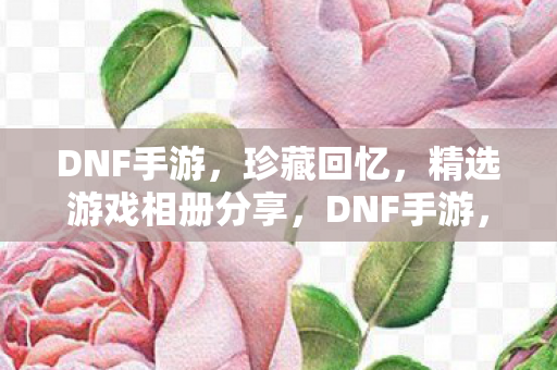 精选游戏相册分享图片