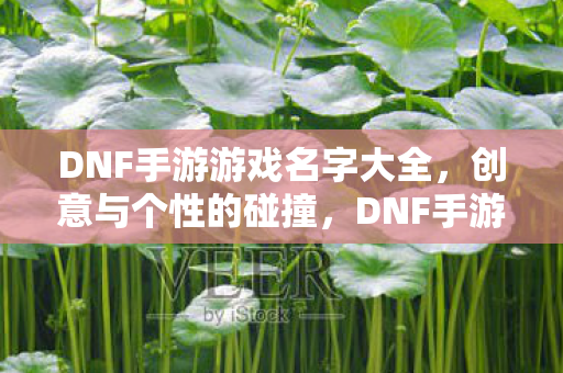 DNF手游游戏名字大全图片