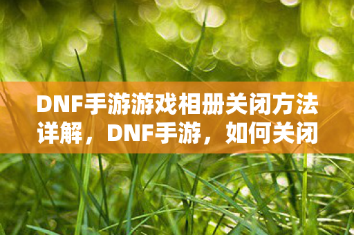 DNF手游游戏相册关闭方法详解图片