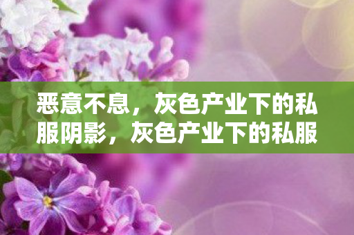 恶意不息,灰色产业下的私服阴影,灰色产业下的私服阴影,恶意不息的威胁 恶意不息,灰色产业下的私服阴影,灰色产业下的私服阴影,恶意不息的威胁