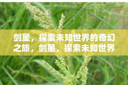 剑星,探索未知世界的奇幻之旅,剑星,探索未知世界的奇幻之旅 剑星,探索未知世界的奇幻之旅,剑星,探索未知世界的奇幻之旅