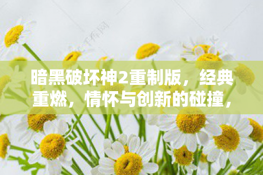 暗黑破坏神2重制版，经典重燃，情怀与创新的碰撞，暗黑破坏神2重制版，经典重燃，情怀与创新碰撞