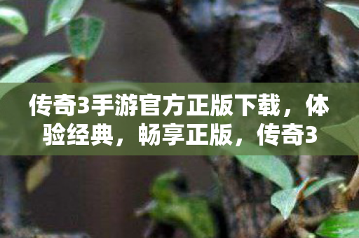 传奇3手游官方正版下载图片