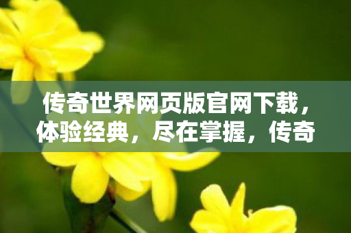 传奇世界网页版官网下载图片