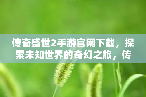 传奇盛世2手游官网下载图片
