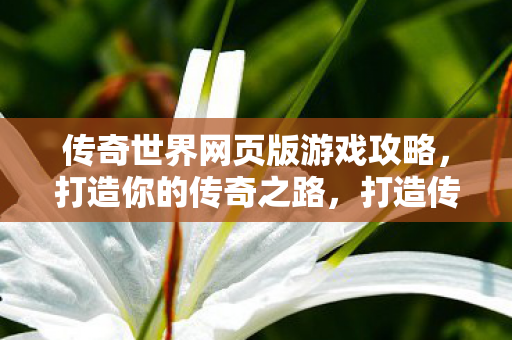 传奇世界网页版游戏攻略图片