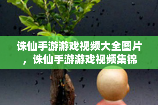 诛仙手游游戏视频大全图片图片