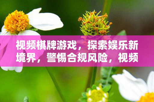 视频棋牌游戏，探索娱乐新境界，警惕合规风险，视频棋牌游戏，探索娱乐新境界，合规风险需警惕