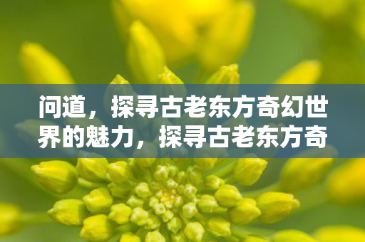 探寻古老东方奇幻世界的魅力图片