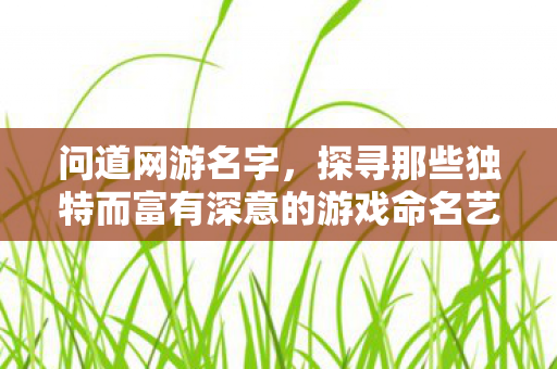 探寻那些独特而富有深意的游戏命名艺术图片