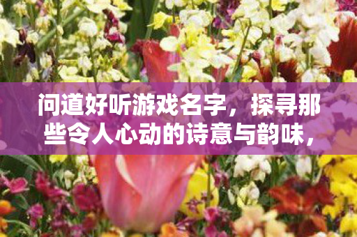 探寻那些令人心动的诗意与韵味图片