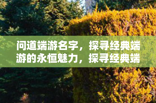 探寻经典端游的永恒魅力图片