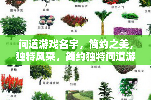 简约独特问道游戏名字图片
