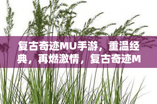 复古奇迹MU手游图片