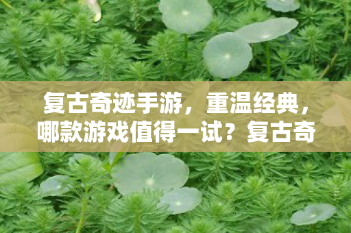 哪款游戏值得一试图片