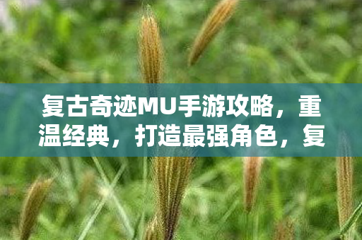 复古奇迹MU手游攻略，重温经典，打造最强角色，复古奇迹MU手游，重温经典，打造最强角色攻略