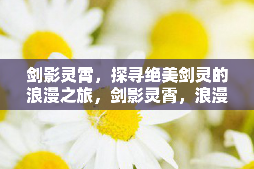 剑影灵霄,探寻绝美剑灵的浪漫之旅,剑影灵霄,浪漫之旅中的绝美剑灵的探寻 剑影灵霄,探寻绝美剑灵的浪漫之旅,剑影灵霄,浪漫之旅中的绝美剑灵的探寻