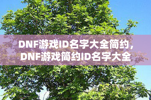 DNF游戏ID名字大全简约图片