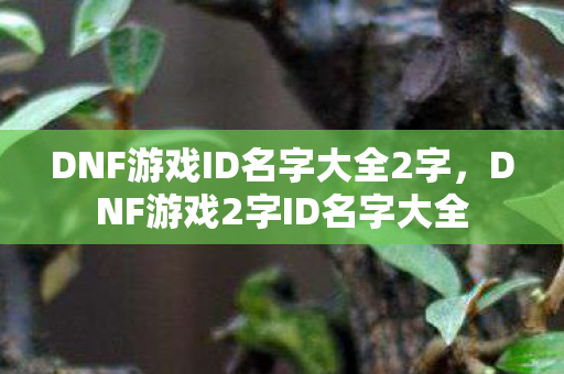 DNF游戏ID名字大全2字图片