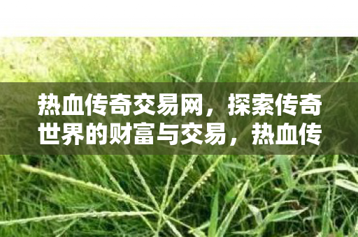 探索传奇世界的财富与交易之旅图片