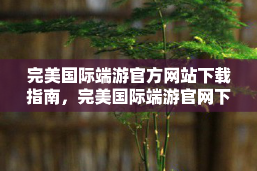 完美国际端游官方网站下载指南,完美国际端游官网下载指南 完美国际端游官方网站下载指南,完美国际端游官网下载指南
