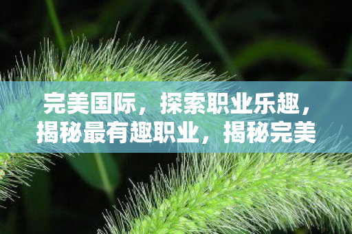 完美国际,探索职业乐趣,揭秘最有趣职业,揭秘完美国际最有趣职业,探索职业乐趣,尽享游戏魅力! 完美国际,探索职业乐趣,揭秘最有趣职业,揭秘完美国际最有趣职业,探索职业乐趣,尽享游戏魅力!