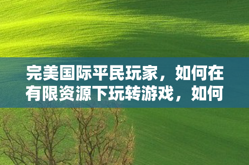 完美国际平民玩家,如何在有限资源下玩转游戏,如何在有限资源下玩转完美国际游戏? 完美国际平民玩家,如何在有限资源下玩转游戏,如何在有限资源下玩转完美国际游戏?