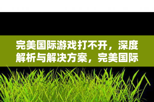 完美国际游戏打不开,深度解析与解决方案,完美国际游戏打不开,原因解析与解决策略 完美国际游戏打不开,深度解析与解决方案,完美国际游戏打不开,原因解析与解决策略