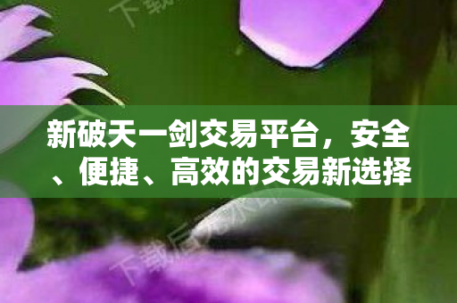 新破天一剑交易平台图片
