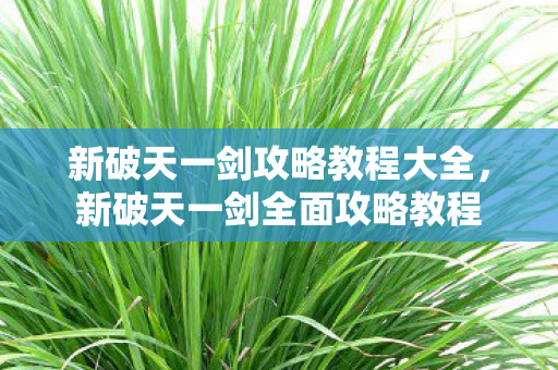 新破天一剑攻略教程大全图片