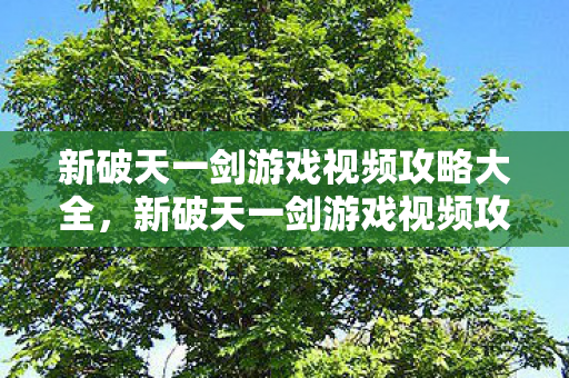 新破天一剑游戏视频攻略全解析图片