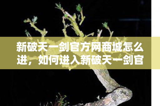 如何进入新破天一剑官方网商城图片