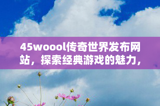 45woool传奇世界发布网站图片